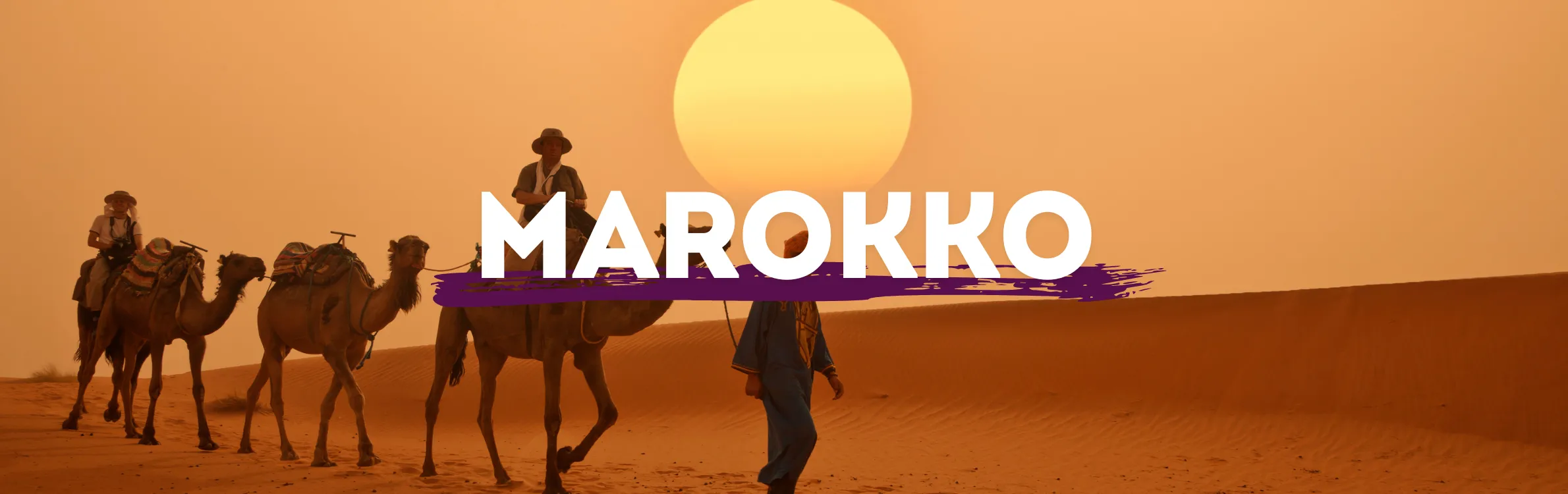 Kamele in der Sahara mit Sonnenuntergang im Hintergrund