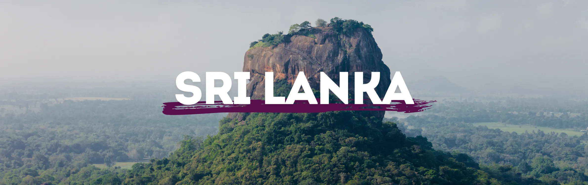 Dschungel in Sri Lanka mit großem Felsen in der Mitte